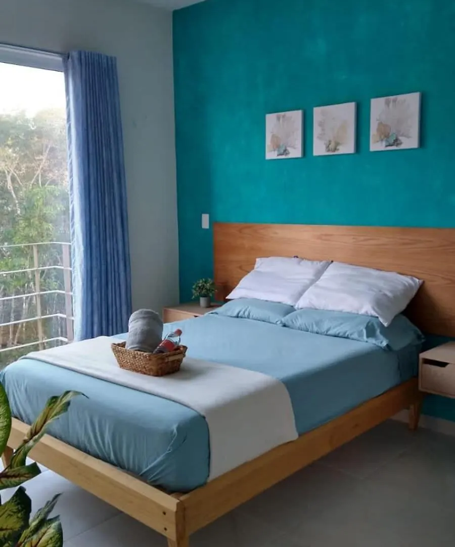 Departamento Turquesa Daire Playa del Carmen Meksika